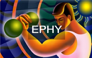 module-ephy-header