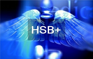 module-hsb+-header